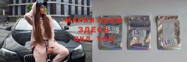 apvp Новосибирск