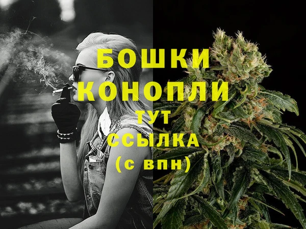 apvp Новосибирск