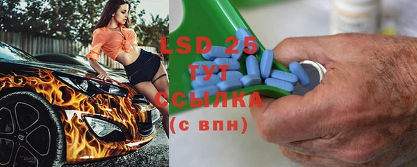 каннабис Ессентукская